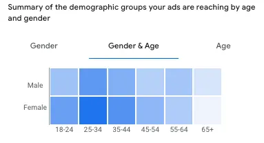 Google Ads report showing which age and gender groups the ads reached