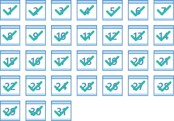 Appointment calendar with every day checked off as booked